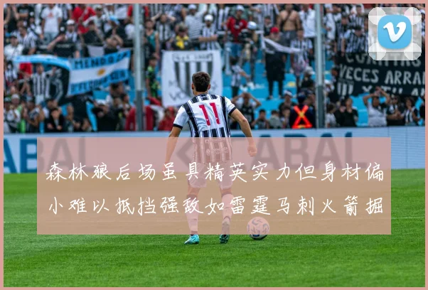 森林狼后场虽具精英实力但身材偏小难以抵挡强敌如雷霆马刺火箭掘金